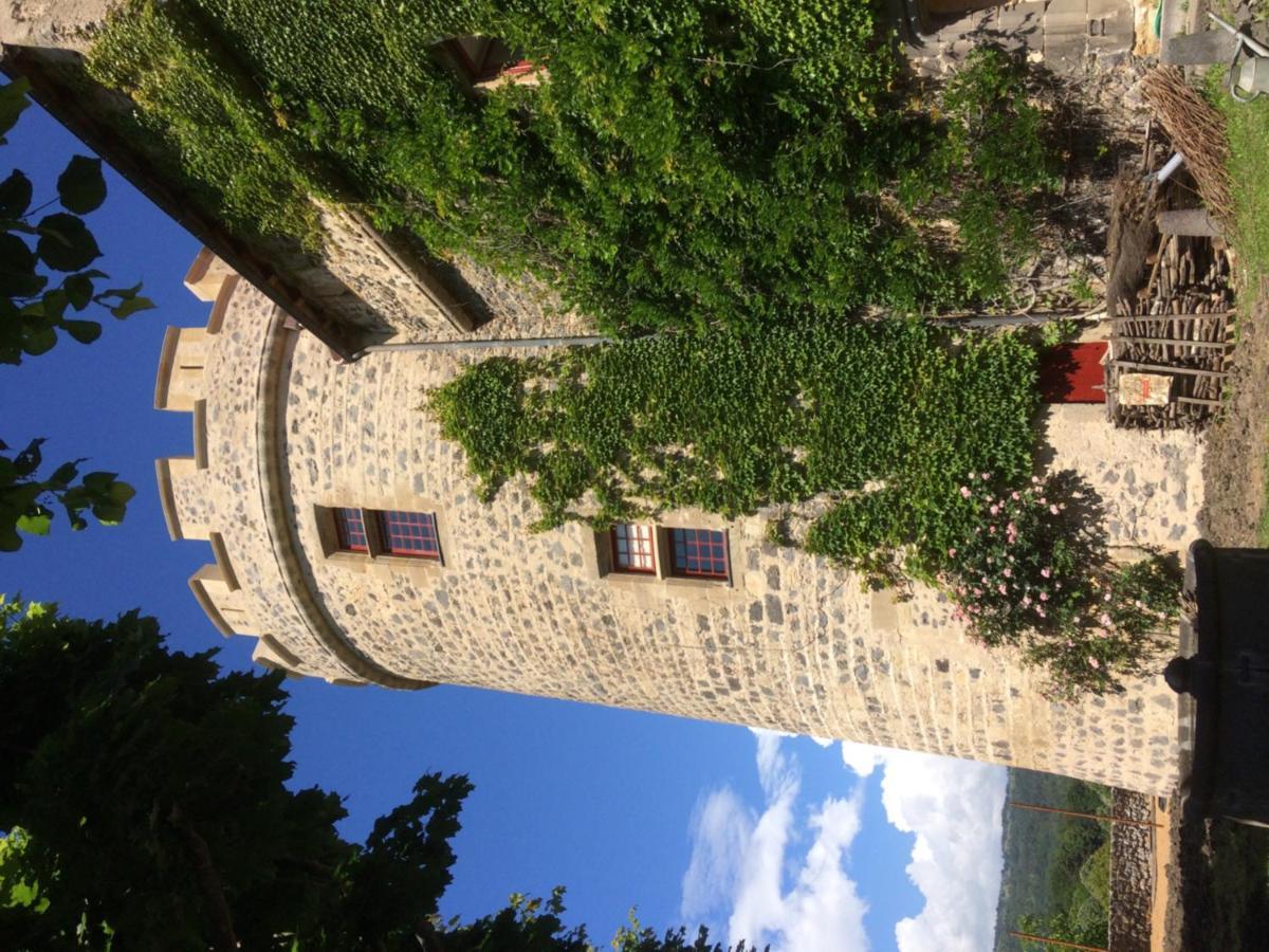 Chateau Royal De Saint-Saturnin Esterno foto